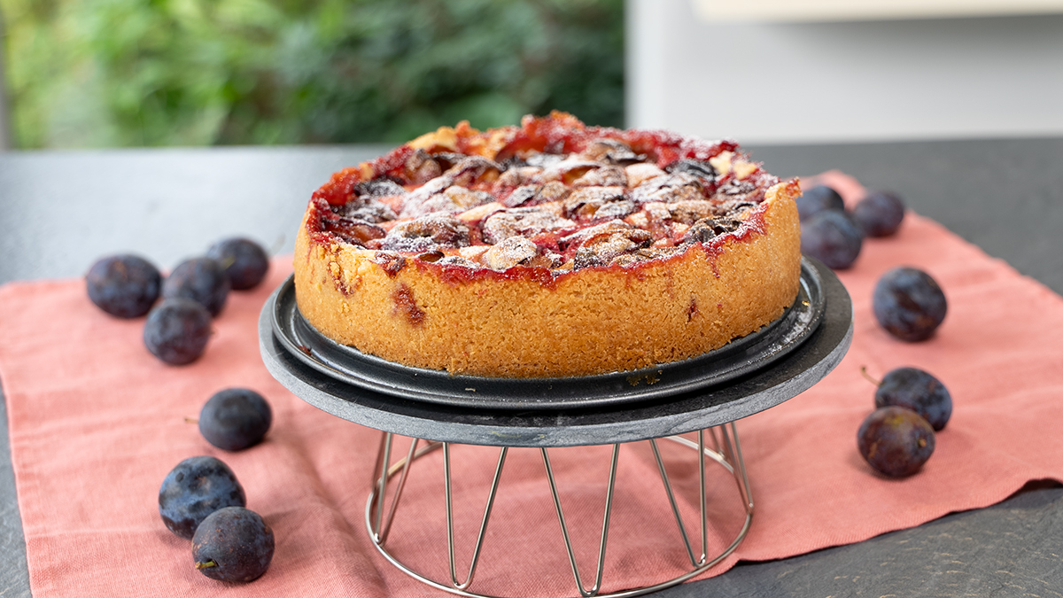 Zwetschken-Topfen-Kuchen