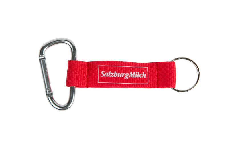 Salzburgmilch Salzburgmilch