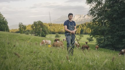 SalzburgMilch Bauer mit Kühen
